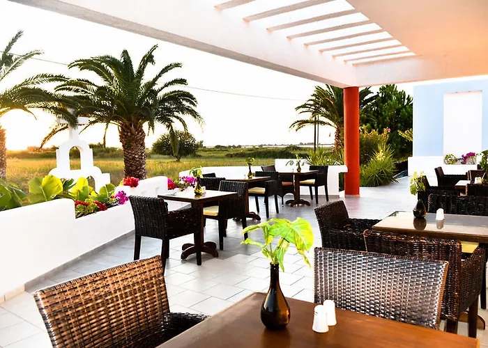 Golden Star Relax - Adults Only 16